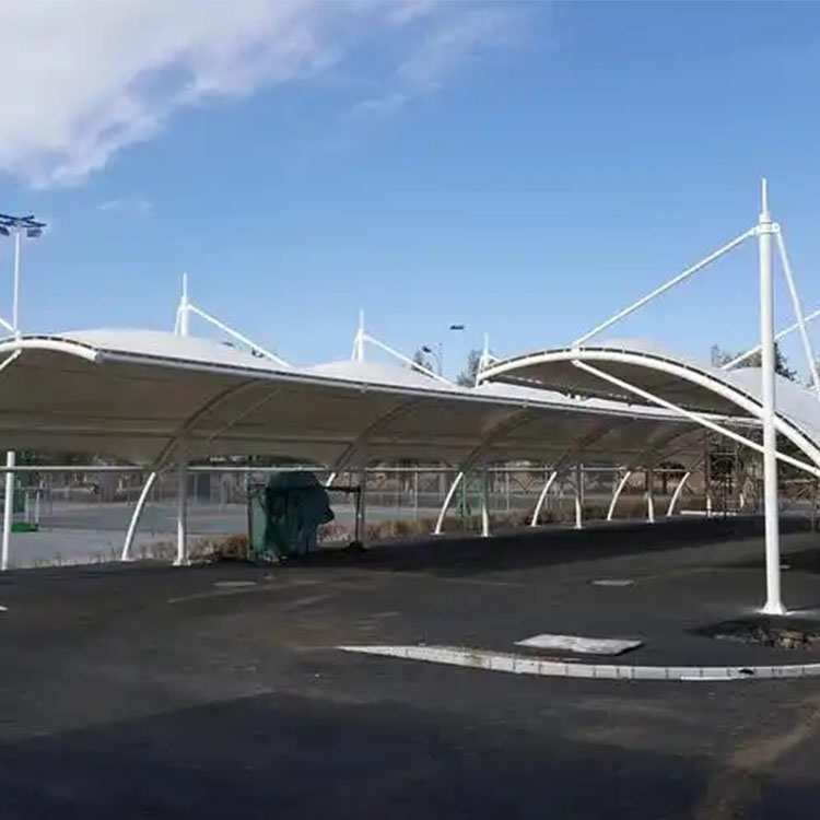 玉龙膜结构电动车棚