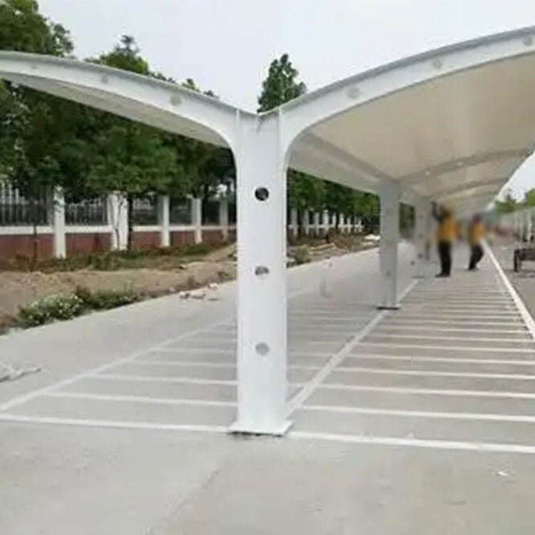 玉龙膜结构电动车棚