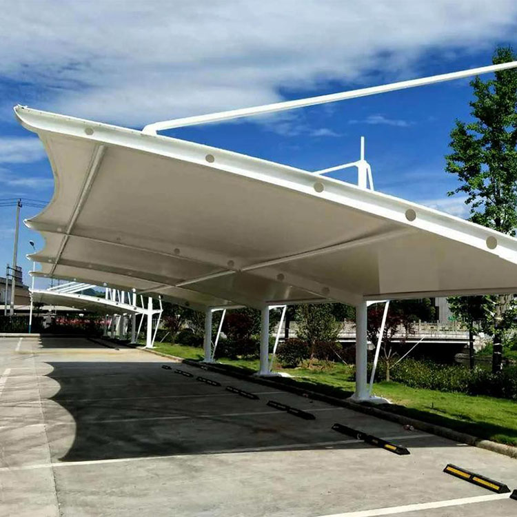 玉龙膜结构汽车棚